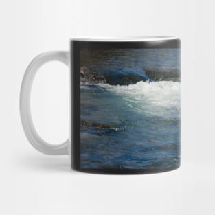 Rolling Red River at the Fish Hatchery in New Mexico Mug